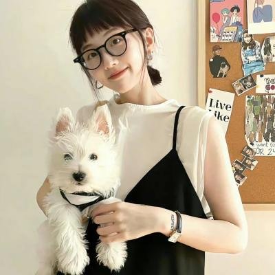 西部骑士